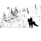 Galopp im tiefen Pulverschnee