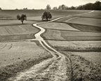 Sallenbusch Variante