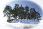 Naturschutzgebiet