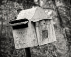 Niemand zu Hause?