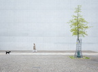 Berlin Streetwalk