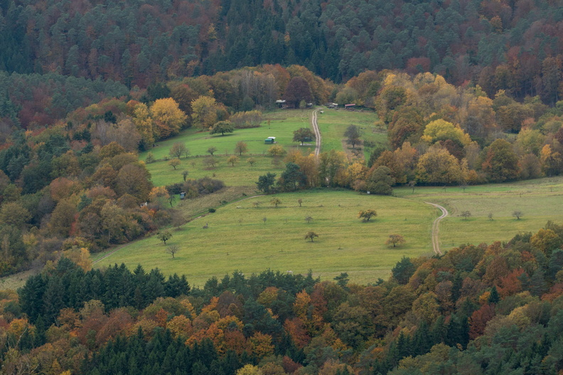 Elsass im Herbst (2).jpg