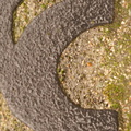 DSC08443