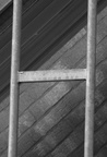 P1100798