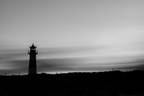 Sylt