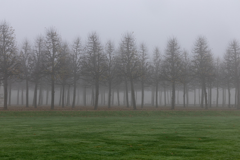 der Schloßgarten in Schwetzingen - im Nebel