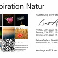 "Lensart" Ausstellung in Durlach