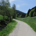 Endlos in den Schwarzwald