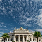 Wien: Burgtheater mit Palmen