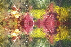 "Kaleidoskop"