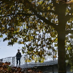  Herbst in Nancy (Spiegelung)