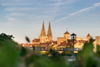 Regensburg: durch die Hecke