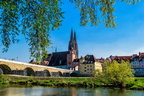 Regensburg: unterm Baum