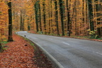 "The Long And Winding Road" (23_Heidelsheim)