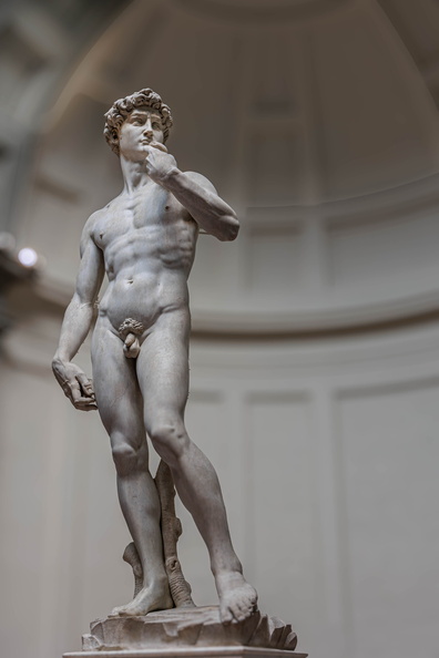 Rückblick 23 (überarbeitet) Michelangelos Goliath                               (23 _Florenz)