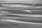 Ebbe und Flut