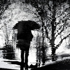 Wind and Weather 