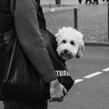 Don't look back