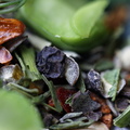 food-makro8