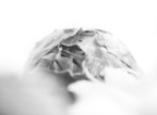 P1320703