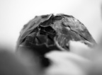 P1320701