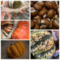 4.Versuch Herbst 25