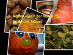 Herbst 25