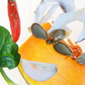 Stillleben von Herbstgemüse