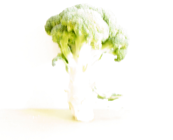 4942.jpg