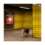 Köln