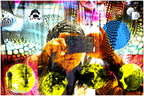 palimpsest-1